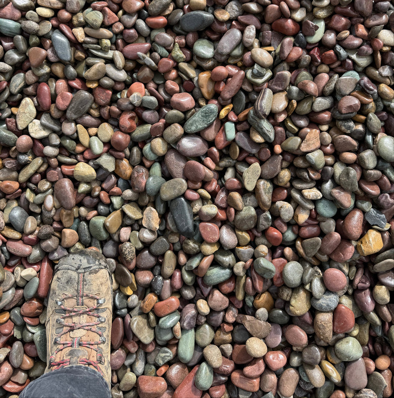 rainbow rock edmonton 